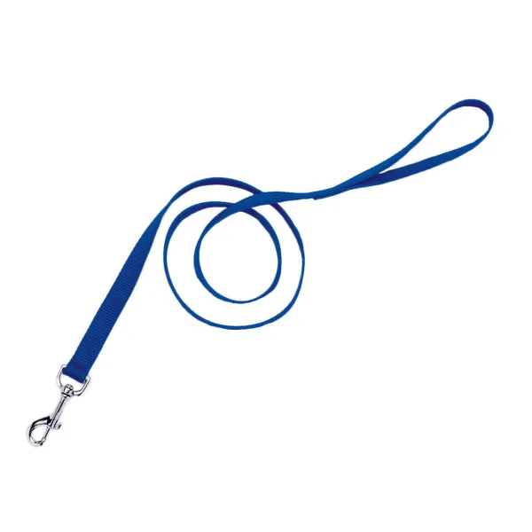 Coastal Pet Nylon Leash Blue - 1" x 4'